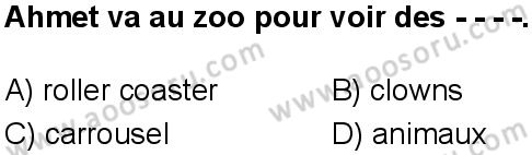 Fransızca 6 Dersi 2024-2025 yılı 3. Dönem sınavı 5. Soru