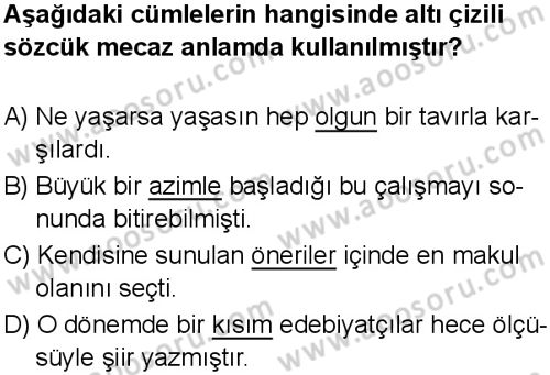 Türkçe 7 Dersi 2024-2025 yılı 3. Dönem sınavı 2. Soru