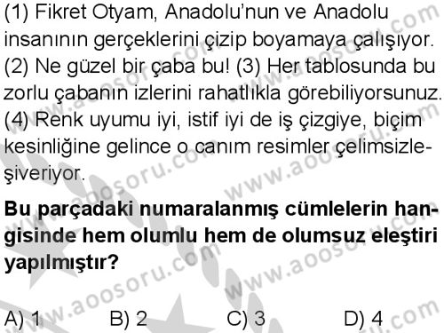 Türkçe 7 Dersi 2024-2025 yılı 3. Dönem sınavı 3. Soru