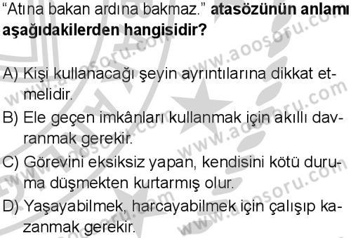 Türkçe 7 Dersi 2024-2025 yılı 3. Dönem sınavı 4. Soru