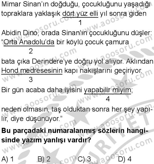 Türkçe 7 Dersi 2024-2025 yılı 3. Dönem sınavı 6. Soru
