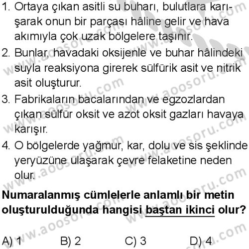 Türkçe 7 Dersi 2024-2025 yılı 3. Dönem sınavı 8. Soru