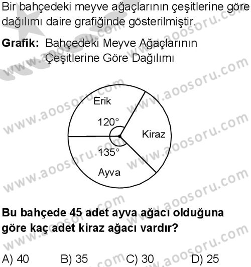 Matematik 7 Dersi 2024-2025 yılı 3. Dönem sınavı 10. Soru