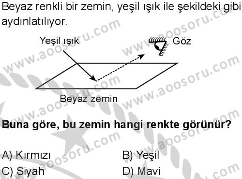 Fen Bilimleri 7 Dersi 2024-2025 yılı 3. Dönem sınavı 4. Soru