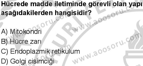 Fen Bilimleri 7 Dersi 2024-2025 yılı 3. Dönem sınavı 9. Soru