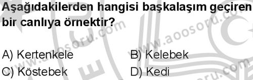 Fen Bilimleri 7 Dersi 2024-2025 yılı 3. Dönem sınavı 10. Soru