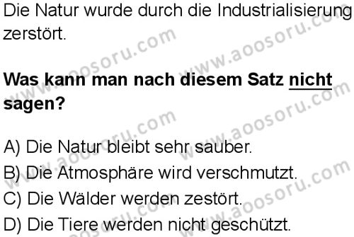 Almanca 8 Dersi 2024-2025 yılı 3. Dönem sınavı 8. Soru