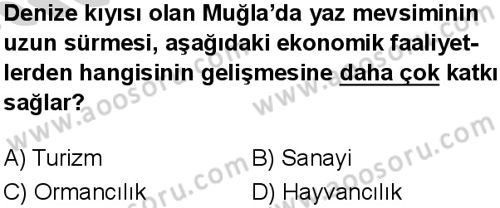 Sosyal Bilgiler 5 Dersi 2024-2025 yılı 3. Dönem sınavı 9. Soru