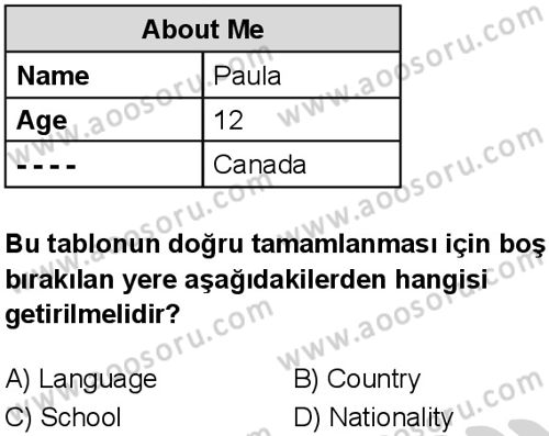 İngilizce 5 Dersi 2024-2025 yılı 3. Dönem sınavı 9. Soru