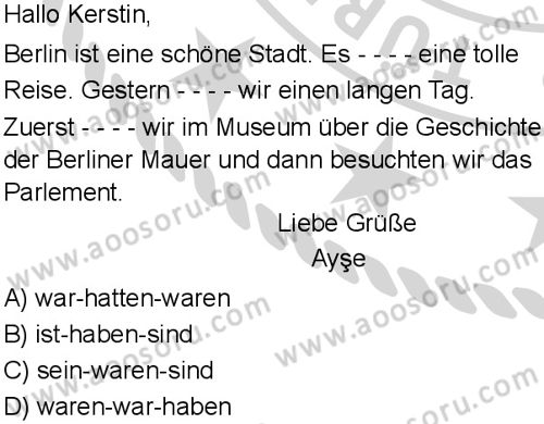 Almanca 5 Dersi 2024-2025 yılı 3. Dönem sınavı 1. Soru