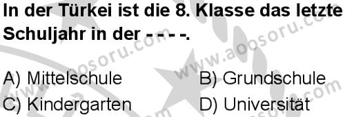 Almanca 5 Dersi 2024-2025 yılı 3. Dönem sınavı 5. Soru