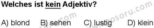 Almanca 5 Dersi 2024-2025 yılı 3. Dönem sınavı 10. Soru