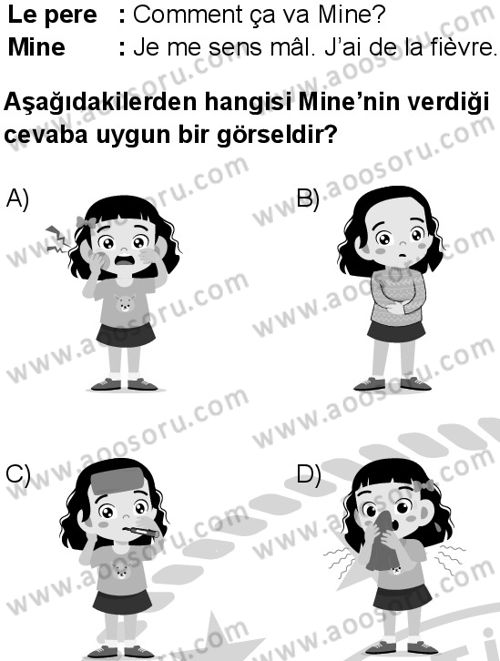 Fransızca 5 Dersi 2024-2025 yılı 3. Dönem sınavı 8. Soru
