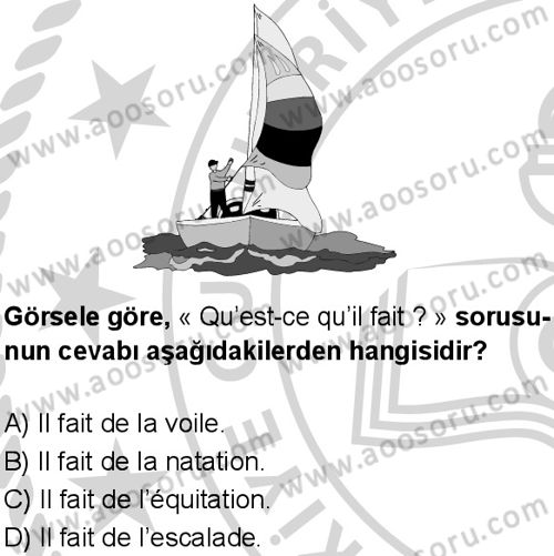 Fransızca 5 Dersi 2024-2025 yılı 3. Dönem sınavı 9. Soru