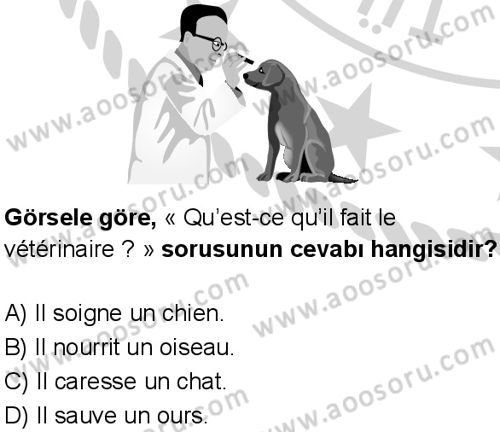 Fransızca 5 Dersi 2024-2025 yılı 3. Dönem sınavı 10. Soru