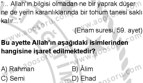 Din Kültürü ve Ahlak Bilgisi 5 Dersi 2024-2025 yılı 3. Dönem sınavı 2. Soru