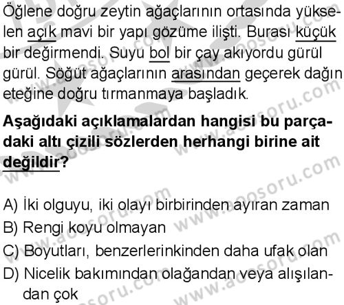 Türkçe 6 Dersi 2024-2025 yılı 3. Dönem sınavı 1. Soru