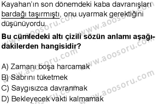 Türkçe 6 Dersi 2024-2025 yılı 3. Dönem sınavı 2. Soru