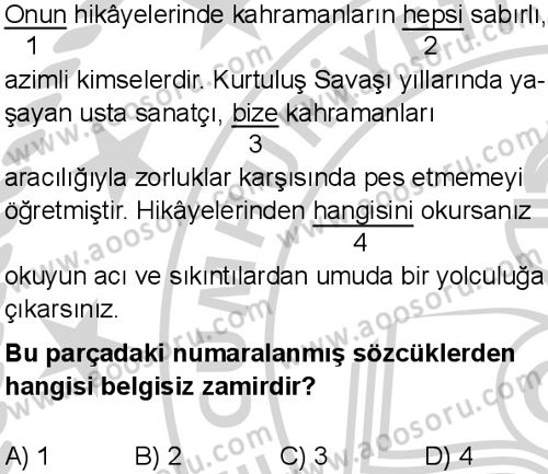 Türkçe 6 Dersi 2024-2025 yılı 3. Dönem sınavı 3. Soru