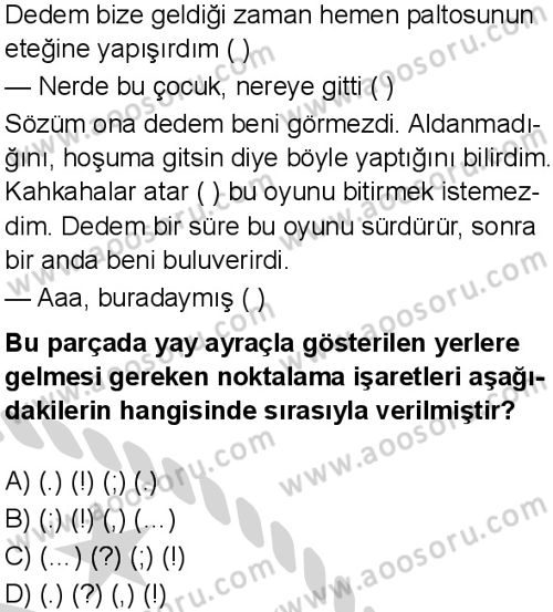 Türkçe 6 Dersi 2024-2025 yılı 3. Dönem sınavı 5. Soru
