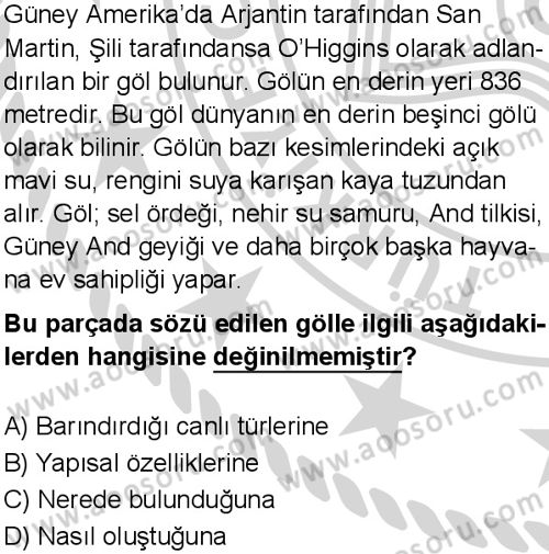 Türkçe 6 Dersi 2024-2025 yılı 3. Dönem sınavı 9. Soru