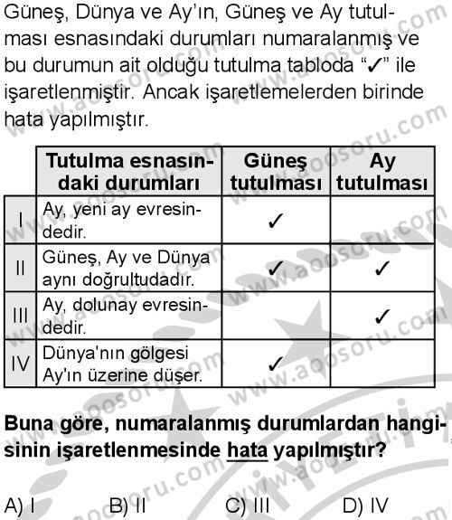 Fen Bilimleri 6 Dersi 2024-2025 yılı 3. Dönem sınavı 1. Soru