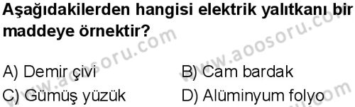Fen Bilimleri 6 Dersi 2024-2025 yılı 3. Dönem sınavı 4. Soru