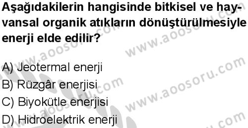 Fen Bilimleri 6 Dersi 2024-2025 yılı 3. Dönem sınavı 5. Soru