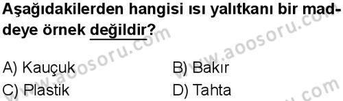 Fen Bilimleri 6 Dersi 2024-2025 yılı 3. Dönem sınavı 7. Soru