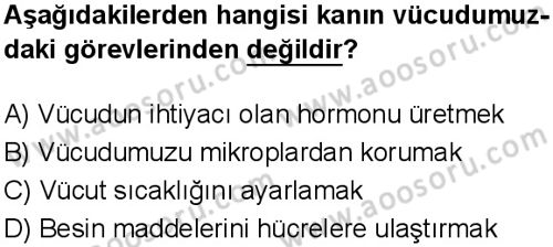 Fen Bilimleri 6 Dersi 2024-2025 yılı 3. Dönem sınavı 8. Soru