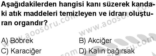 Fen Bilimleri 6 Dersi 2024-2025 yılı 3. Dönem sınavı 9. Soru