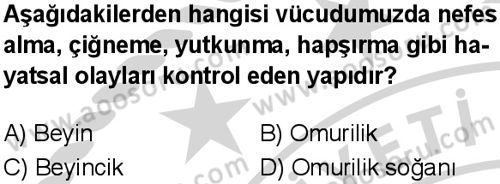 Fen Bilimleri 6 Dersi 2024-2025 yılı 3. Dönem sınavı 10. Soru