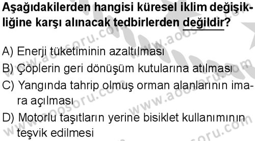 Sosyal Bilgiler 7 Dersi 2024-2025 yılı 3. Dönem sınavı 10. Soru