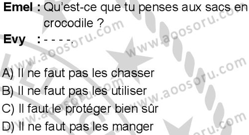 Fransızca 7 Dersi 2024-2025 yılı 3. Dönem sınavı 2. Soru