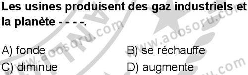 Fransızca 7 Dersi 2024-2025 yılı 3. Dönem sınavı 4. Soru