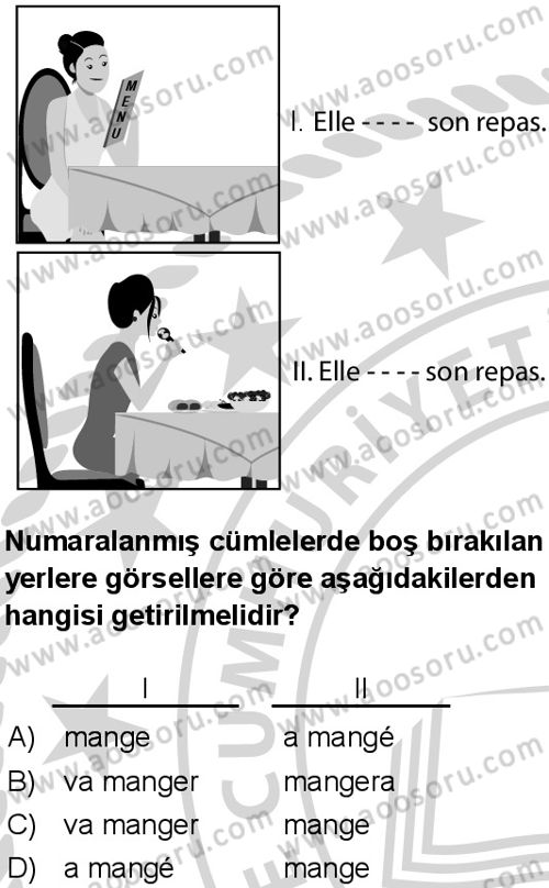 Fransızca 7 Dersi 2024-2025 yılı 3. Dönem sınavı 7. Soru