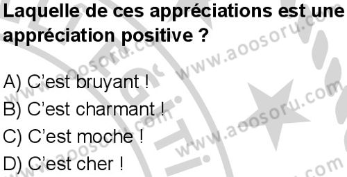 Fransızca 7 Dersi 2024-2025 yılı 3. Dönem sınavı 10. Soru