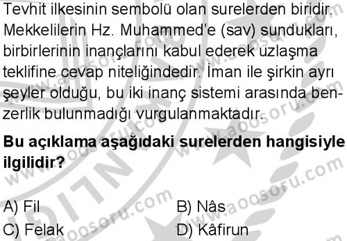 Din Kültürü ve Ahlak Bilgisi 7 Dersi 2024-2025 yılı 3. Dönem sınavı 9. Soru
