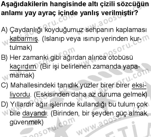 Türkçe 8 Dersi 2024-2025 yılı 3. Dönem sınavı 1. Soru