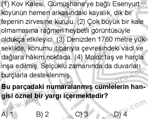 Türkçe 8 Dersi 2024-2025 yılı 3. Dönem sınavı 2. Soru