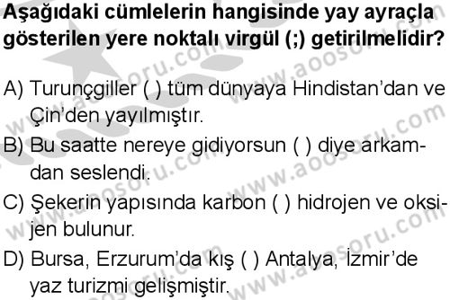 Türkçe 8 Dersi 2024-2025 yılı 3. Dönem sınavı 6. Soru