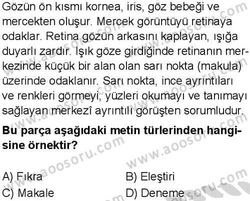 Türkçe 8 Dersi 2024-2025 yılı 3. Dönem sınavı 7. Soru