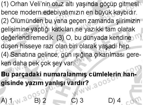 Türkçe 8 Dersi 2024-2025 yılı 3. Dönem sınavı 8. Soru