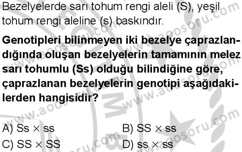 Fen Bilimleri 8 Dersi 2024-2025 yılı 3. Dönem sınavı 9. Soru