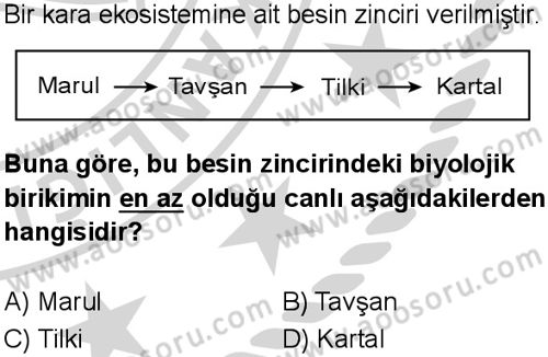Fen Bilimleri 8 Dersi 2024-2025 yılı 3. Dönem sınavı 10. Soru