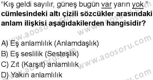 Türkçe 5 Dersi 2025-2026 yılı 1. Dönem sınavı 1. Soru
