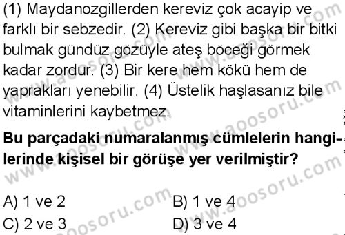 Türkçe 5 Dersi 2025-2026 yılı 1. Dönem sınavı 2. Soru