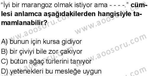 Türkçe 5 Dersi 2025-2026 yılı 1. Dönem sınavı 3. Soru