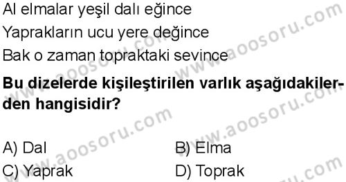 Türkçe 5 Dersi 2025-2026 yılı 1. Dönem sınavı 4. Soru