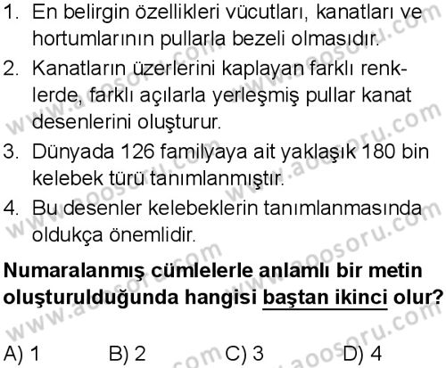 Türkçe 5 Dersi 2025-2026 yılı 1. Dönem sınavı 7. Soru